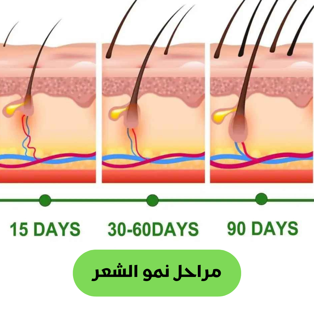 ROSMARY ESSENTIAL GROWTH OIL & DERMAROLLER
